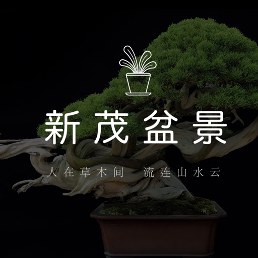 新茂盆景 icon