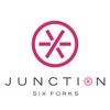 Junction Six Forks icon