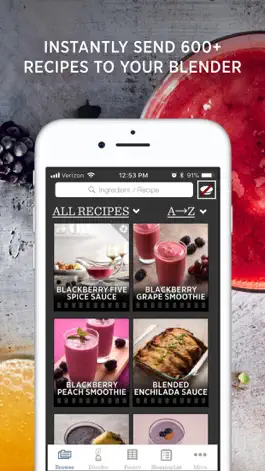 Game screenshot Vitamix Perfect Blend mod apk