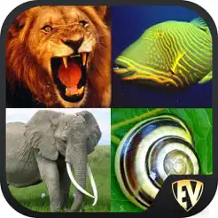 Learn About Animals: Animal Encyclopedia and Wildlife Apps