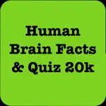 Human Brain Facts & Quiz 2000 App Positive Reviews