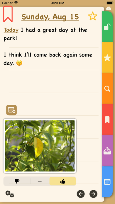 The E-Diary Screenshot