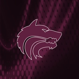 Lincoln Wolves