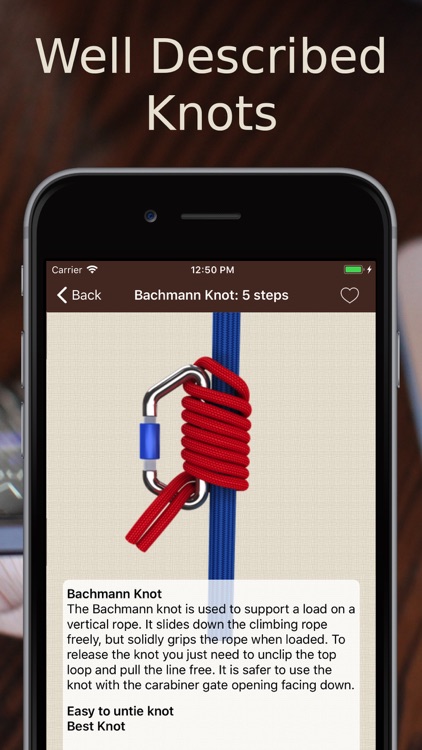 Animated 3D Knots