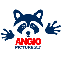 Angiopicture 2021