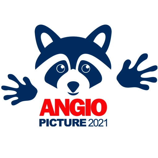 Angiopicture 2021 icon