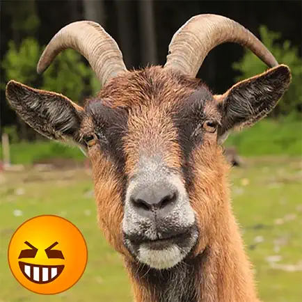 Funny Goat Sounds Читы