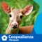 Como parte de nuestra campaña Lo natural es compartir, nuestra App Coopealianza Parques, rescata las riquezas naturales de nuestro país, al mostrar características de la fauna que habita en Costa Rica