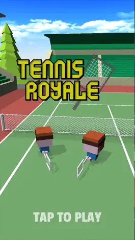 Game screenshot The Crazy Tennis mod apk