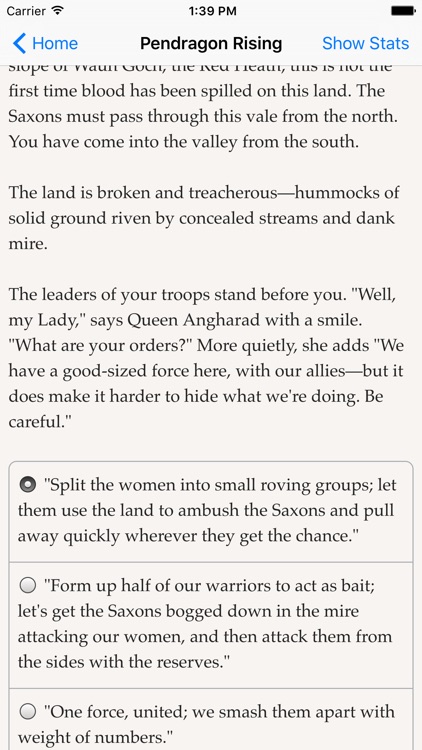 Pendragon Rising screenshot-1