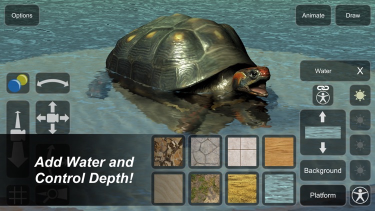 Tortoise Mannequin screenshot-7
