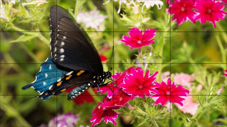 Tile Puzzle Butterflies screenshot-4
