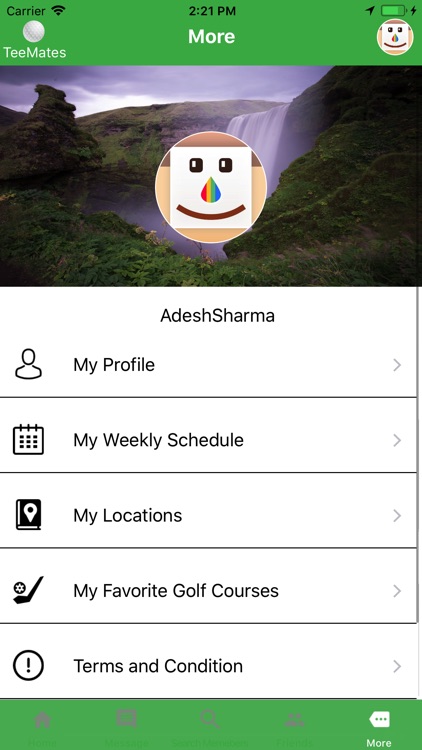 Teemates screenshot-4