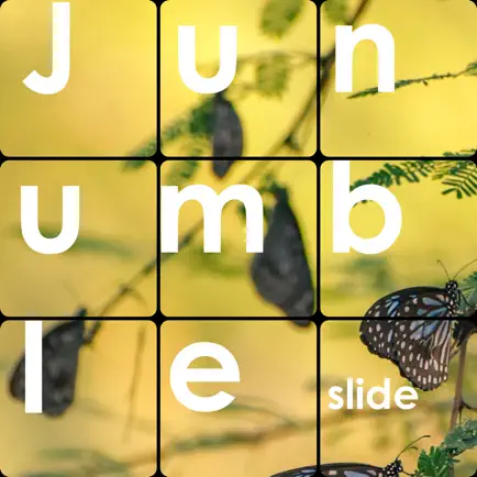 Junumble - Slide Cheats