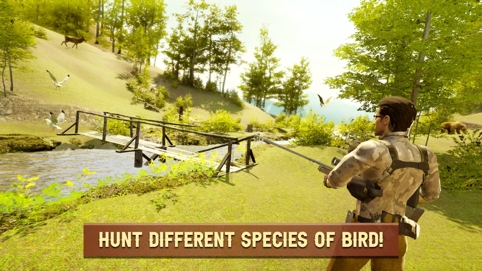 Classic Bird Hunt 2021 - 1.25 - (iOS)