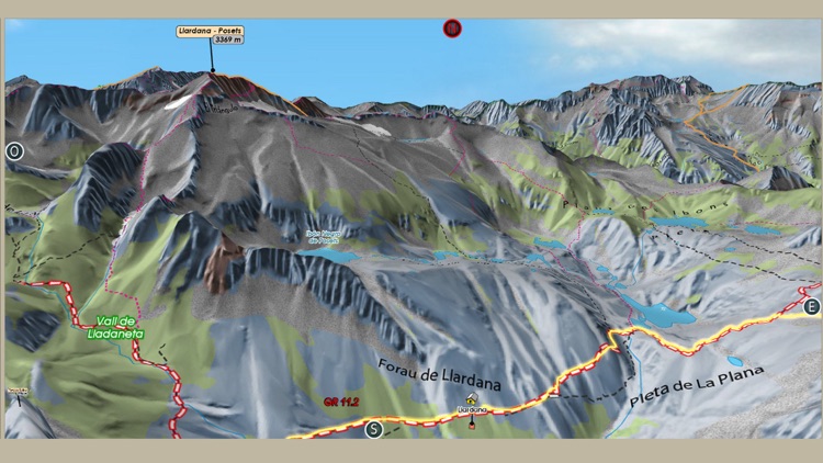 Posets - Perdiguero 1.25 000