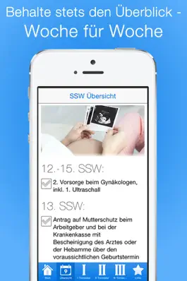 Game screenshot Schwangerschaft Checklisten apk