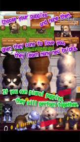 Animal Dance puppies screenshot