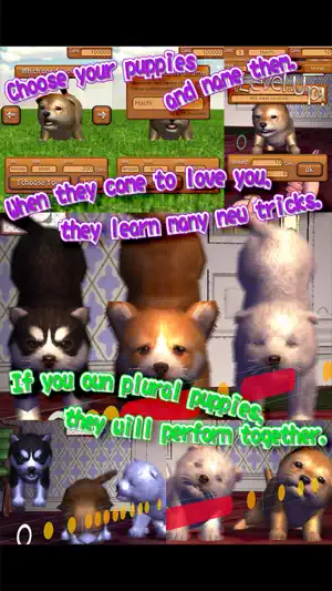 Animal Dance puppies screenshot 4