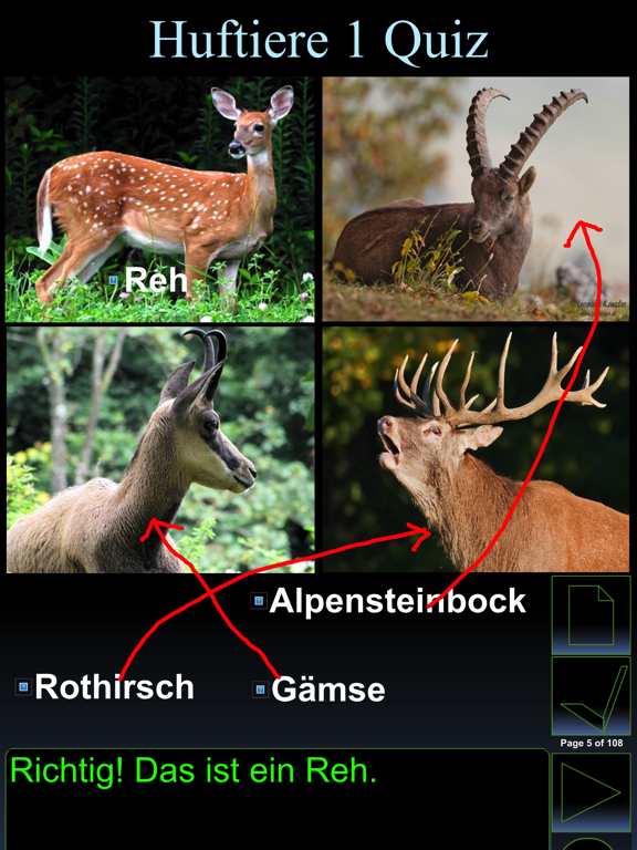 Screenshot #5 pour iWildtiere