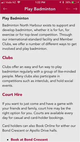 Game screenshot Badminton NH apk