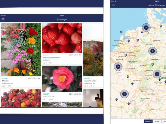 Screenshot #5 for Früchte und Beeren PRO