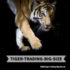 Top 47 Lifestyle Apps Like Tiger-Trading-Big-Size App - Best Alternatives