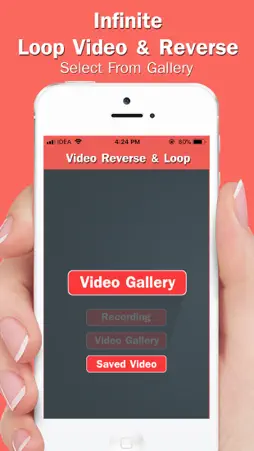 Infinite Loop Video & Reverse screenshot 1