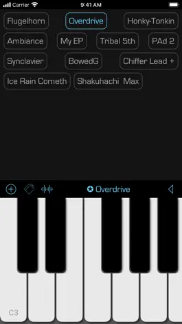 Game screenshot SoundFonts hack