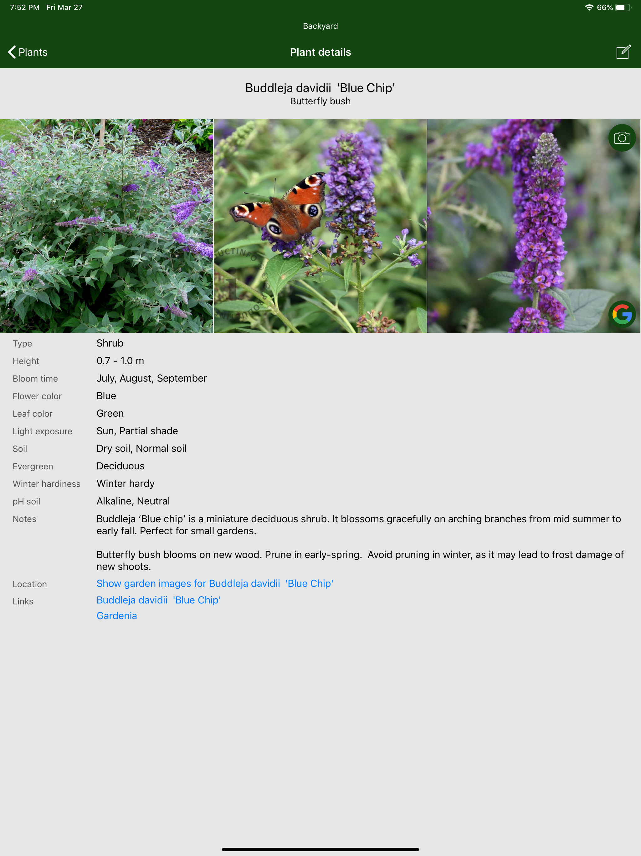 Hortus - Plants in your garden