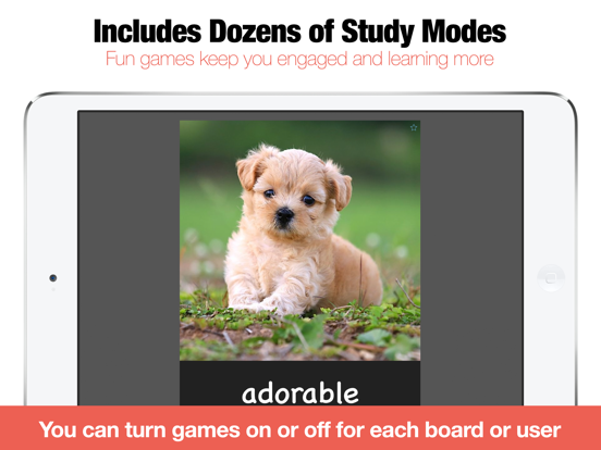 Bitsboard Flashcards PRO iPad app afbeelding 3