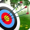 Archery Master Target Shooter icon