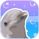 Aquarium Games App Positive Reviews