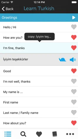 Game screenshot Learn Turkish - Phrasebook apk