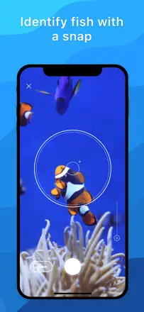 Picture Fishのスクリーンショット（1/4）
