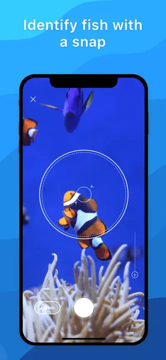 Picture Fish: Screenshot 1 von 4