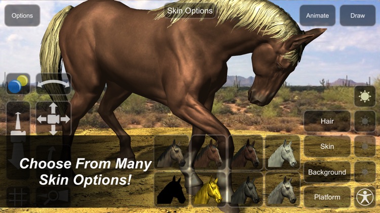 Horse Mannequin screenshot-4
