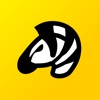 斑马钢琴 icon