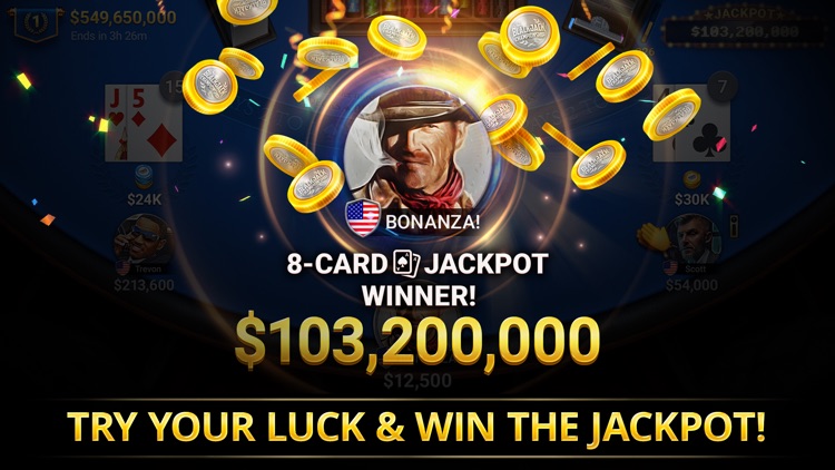 Blackjack Championship screenshot-3