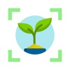 Weed identification leaf snap icon
