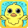 Sort the Chick - iPhoneアプリ