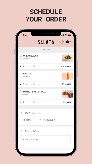 SALATA Screenshot