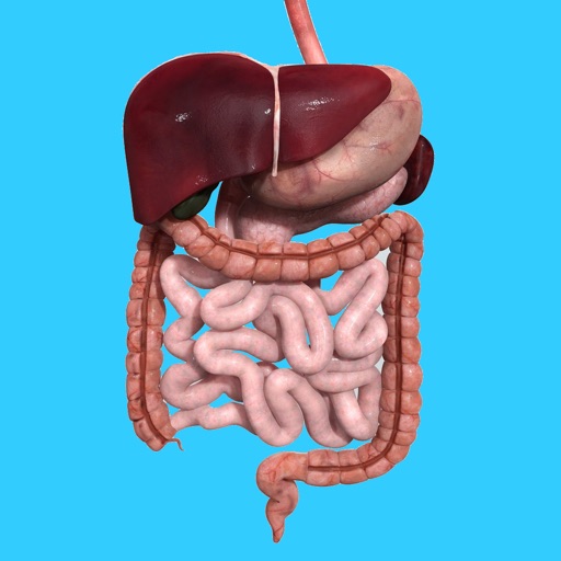 Human Digestive System Anatomy iOS App