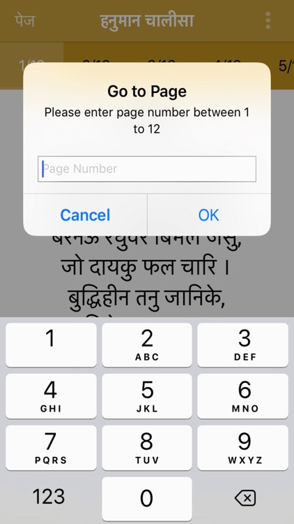 Hanuman Chalisa  Audio Offline screenshot-6
