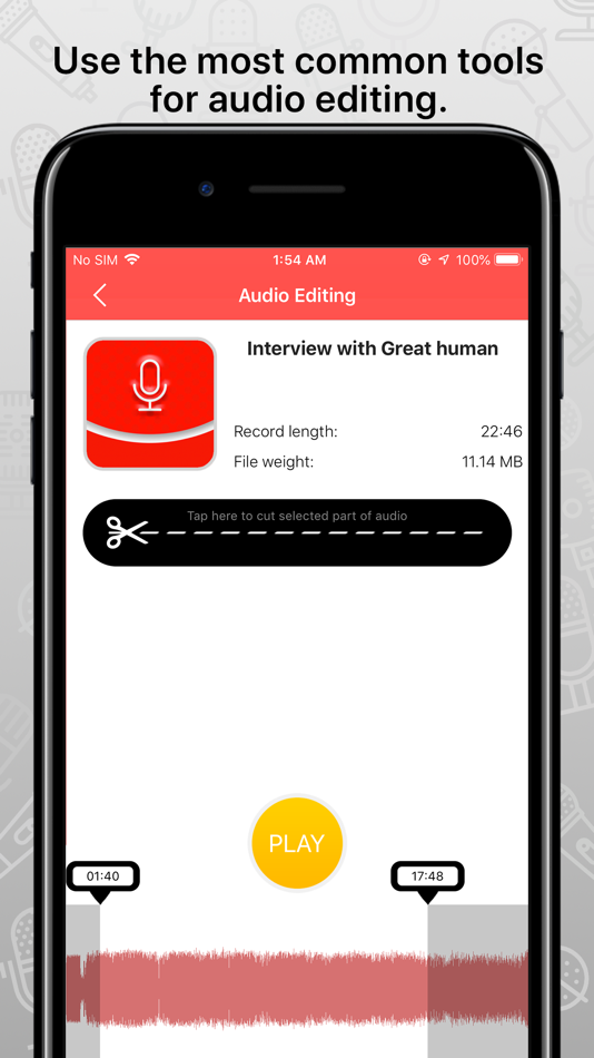 #4. FastRecorder audio recording (iOS) 由: Artem Iakovliev