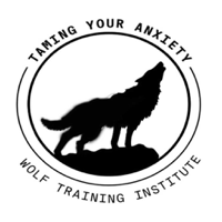Taming Your Anxiety