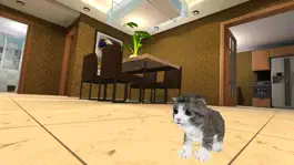 Game screenshot Kitten Cat Simulator 3D apk