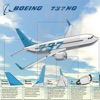 Boeing 737-300/400/500/NG/MAX icon