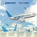 Boeing 737-300/400/500/NG/MAX App Positive Reviews