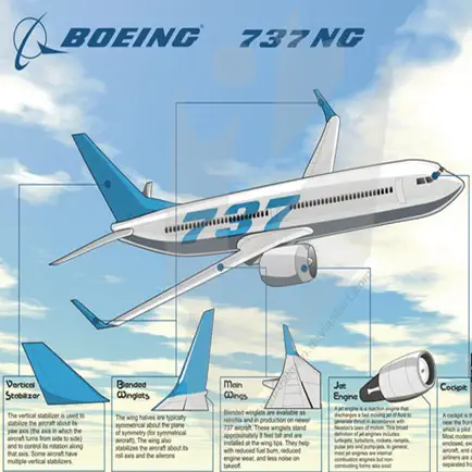 Boeing 737-300/400/500/NG/MAX Читы